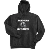 Randolph Middle School Super Heavyweight Fleece Hoodie