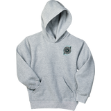 Brooklyn Aviators Youth EcoSmart Pullover Hooded Sweatshirt